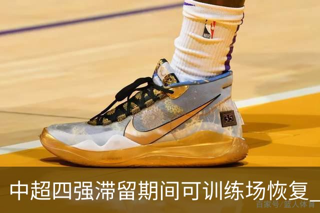 中超四强滞留期间可训练场恢复 上港感谢足协努力